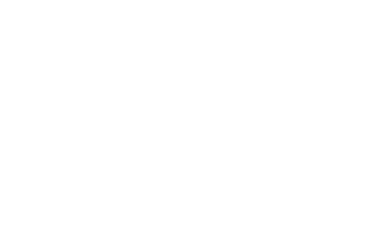 APT Logo White Transparent Background