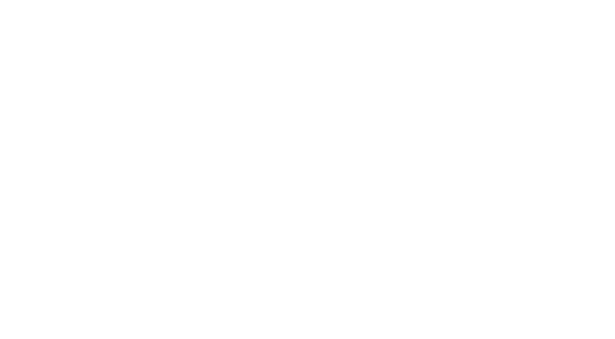 Southern Crossings Logo White Transparent