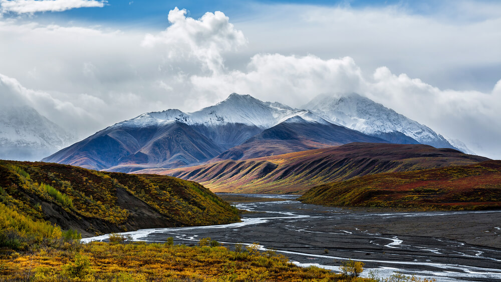 Denali National Park View